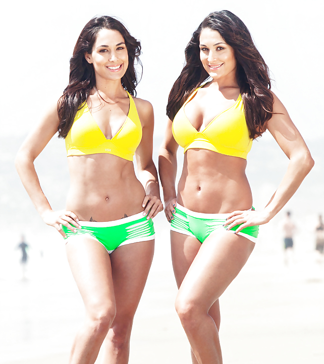 WWE Bella Twins #38053769