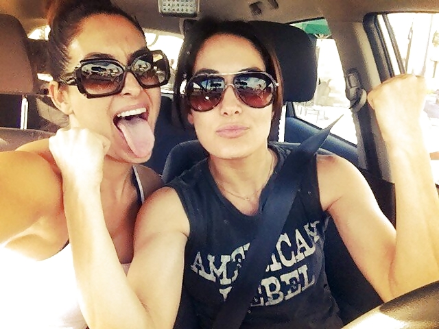 WWE Bella Twins #38053898