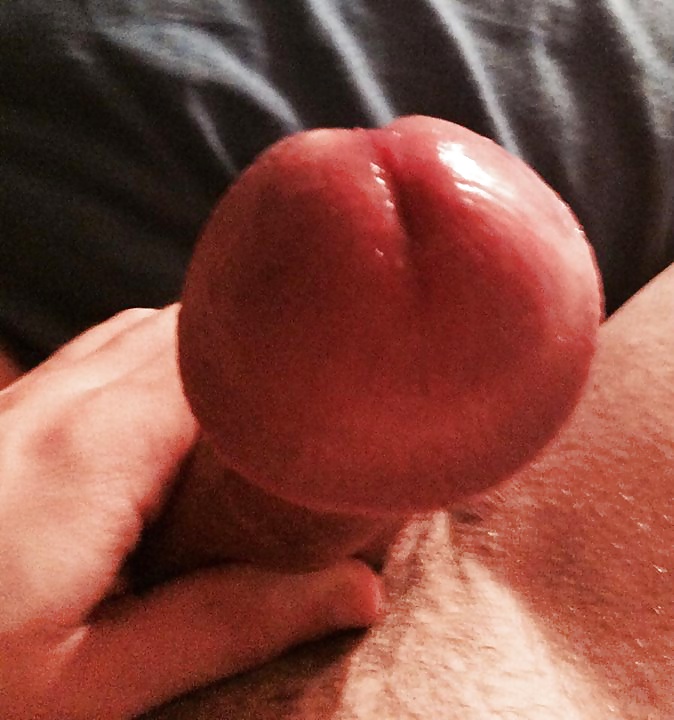 Polla argelina 4
 #27713652