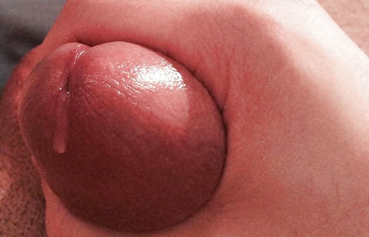 Polla argelina 4
 #27713677