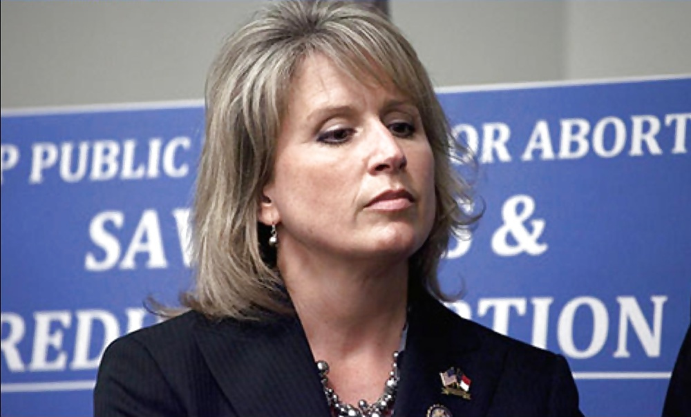 Love jerking off to conservative Renee Ellmers #25559078