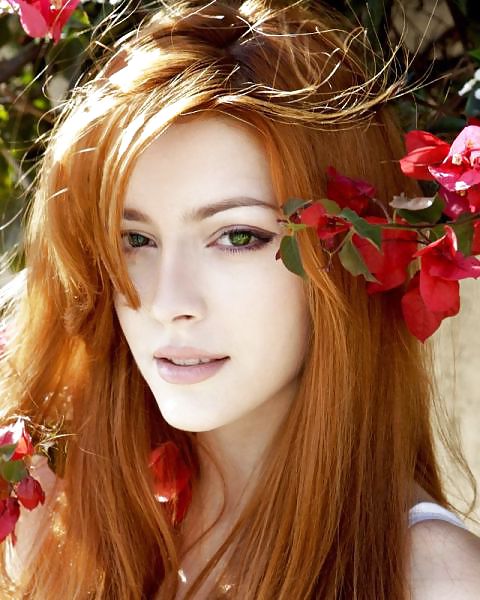 Redheads, red hair. Softcore beauties. #24760418