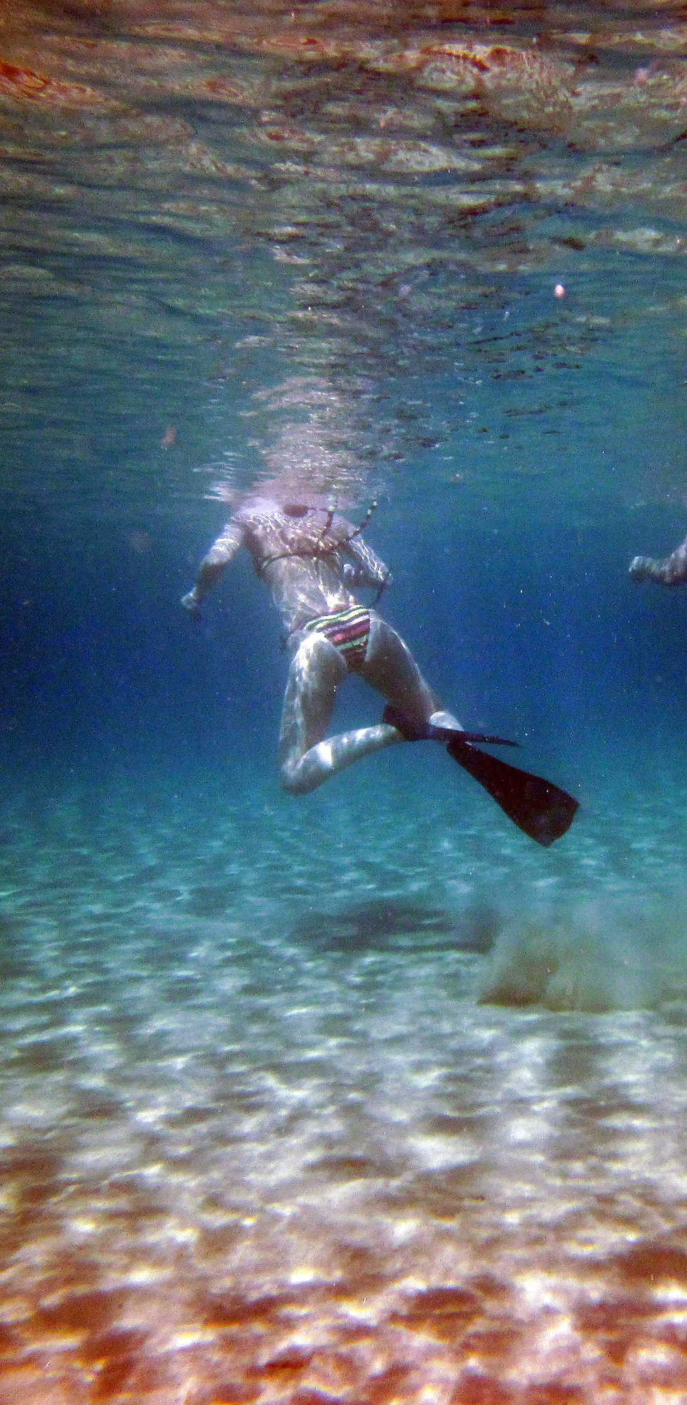Bikini bajo el agua
 #34184597