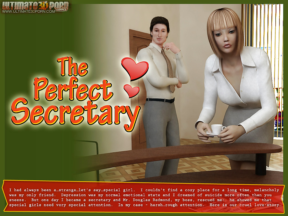 The Perfect Secretary #28211781