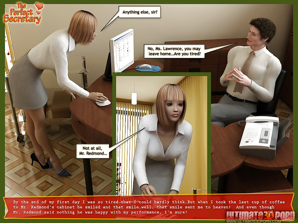 The Perfect Secretary #28211870