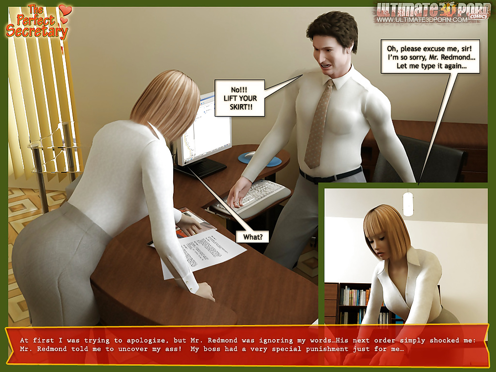 The Perfect Secretary #28211887