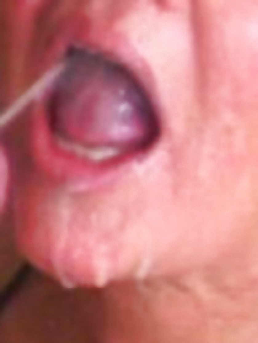 Dottoressa - milf dottoressa - bocca mutandine riempita di sperma
 #31422789