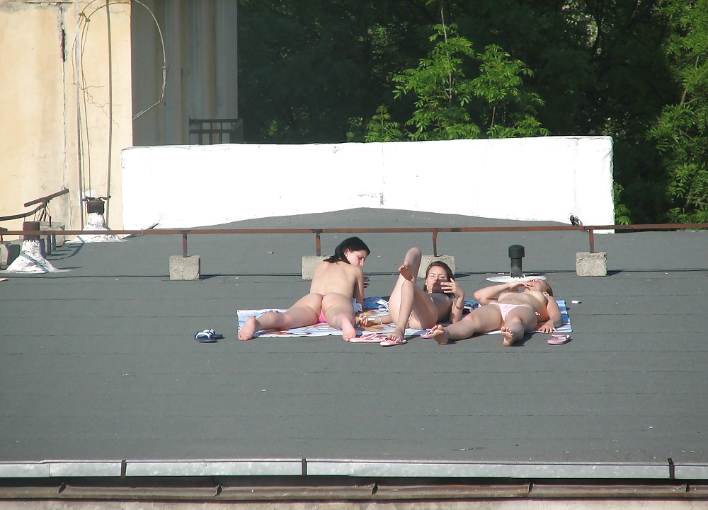 Roof chickas #31193620