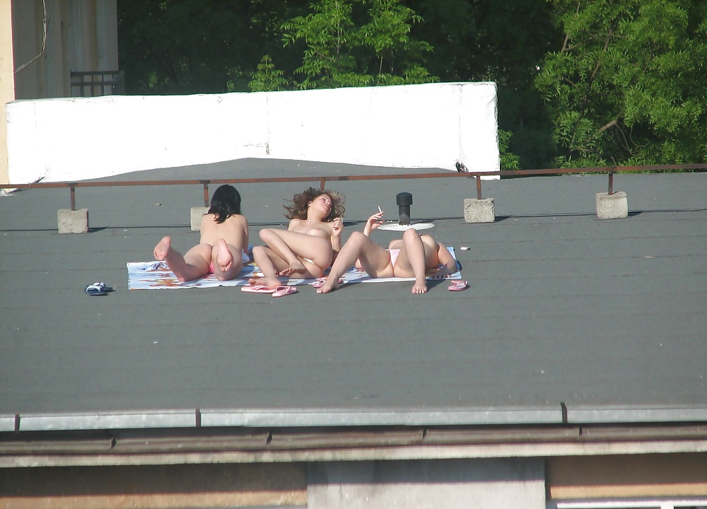 Roof chickas #31193663