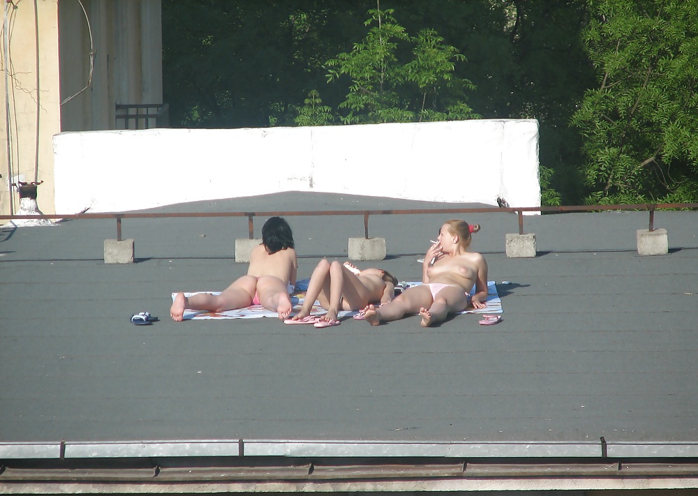 Roof chickas #31193711