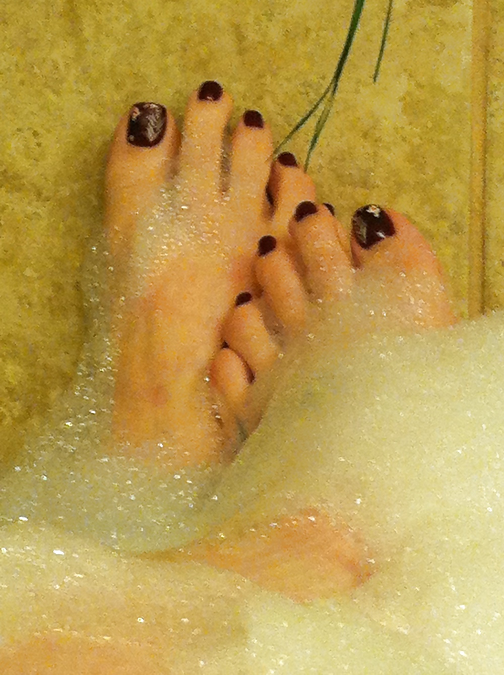 足の写真
 #37056672