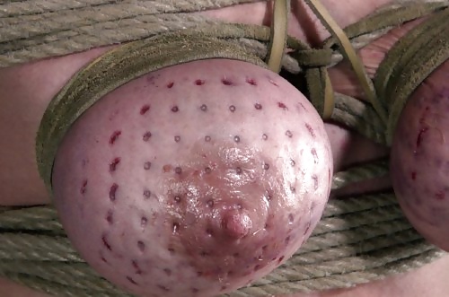 Carne de teta
 #33035882