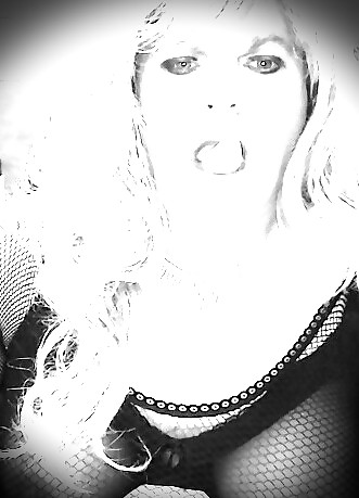 Zah Zah ready and waiting #37040270