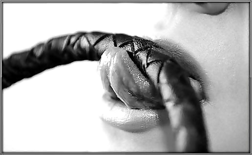 スペシャルトレーナー
 #34030547