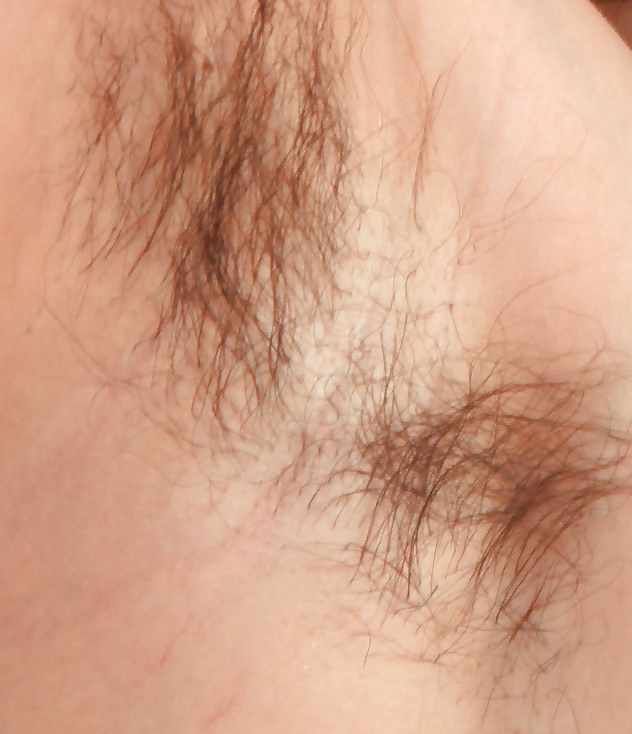 Hairy Armpits 4 #31905145