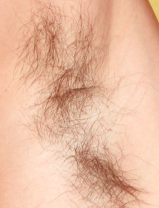 Hairy Armpits 4 #31905159