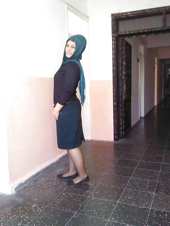 サザエ
 #27498638