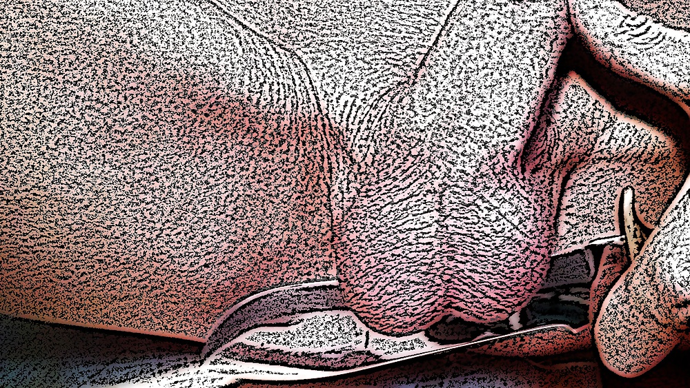 Mi vecino
 #39957186