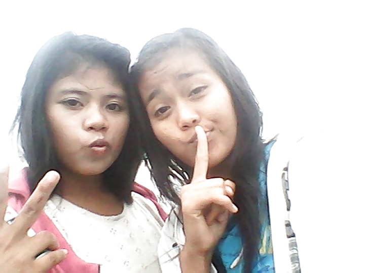 Jambijinnisiekireina putriyaengsetia
 #31275583