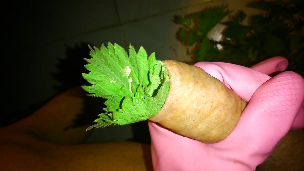 Ortie diversión
 #26987088