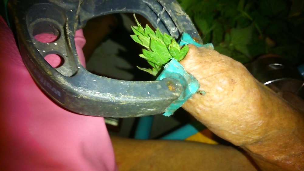 Ortie diversión
 #26987104