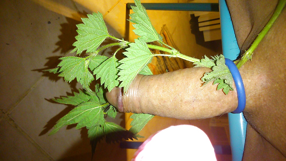 Ortie diversión
 #26987117