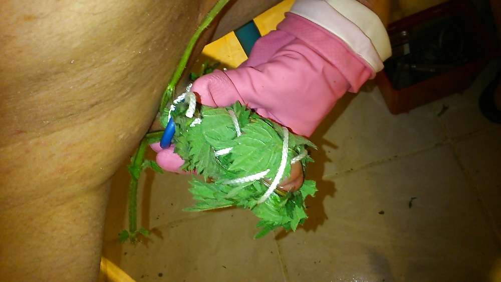 Ortie diversión
 #26987145