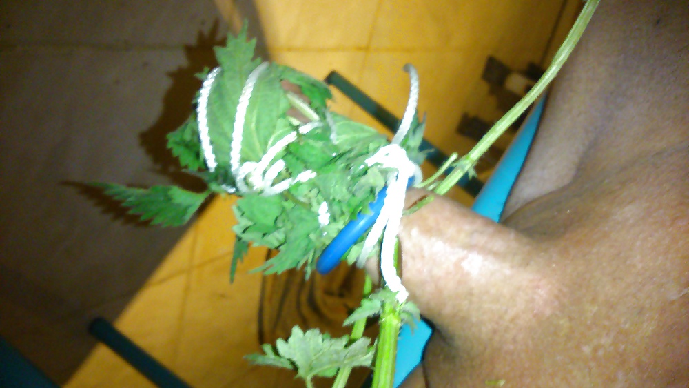 Ortie diversión
 #26987148