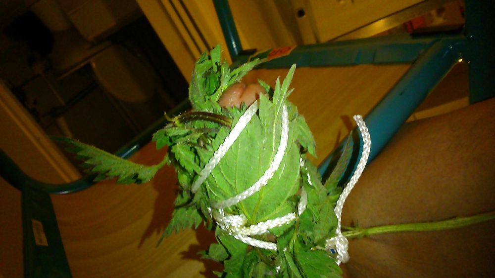 Ortie diversión
 #26987152