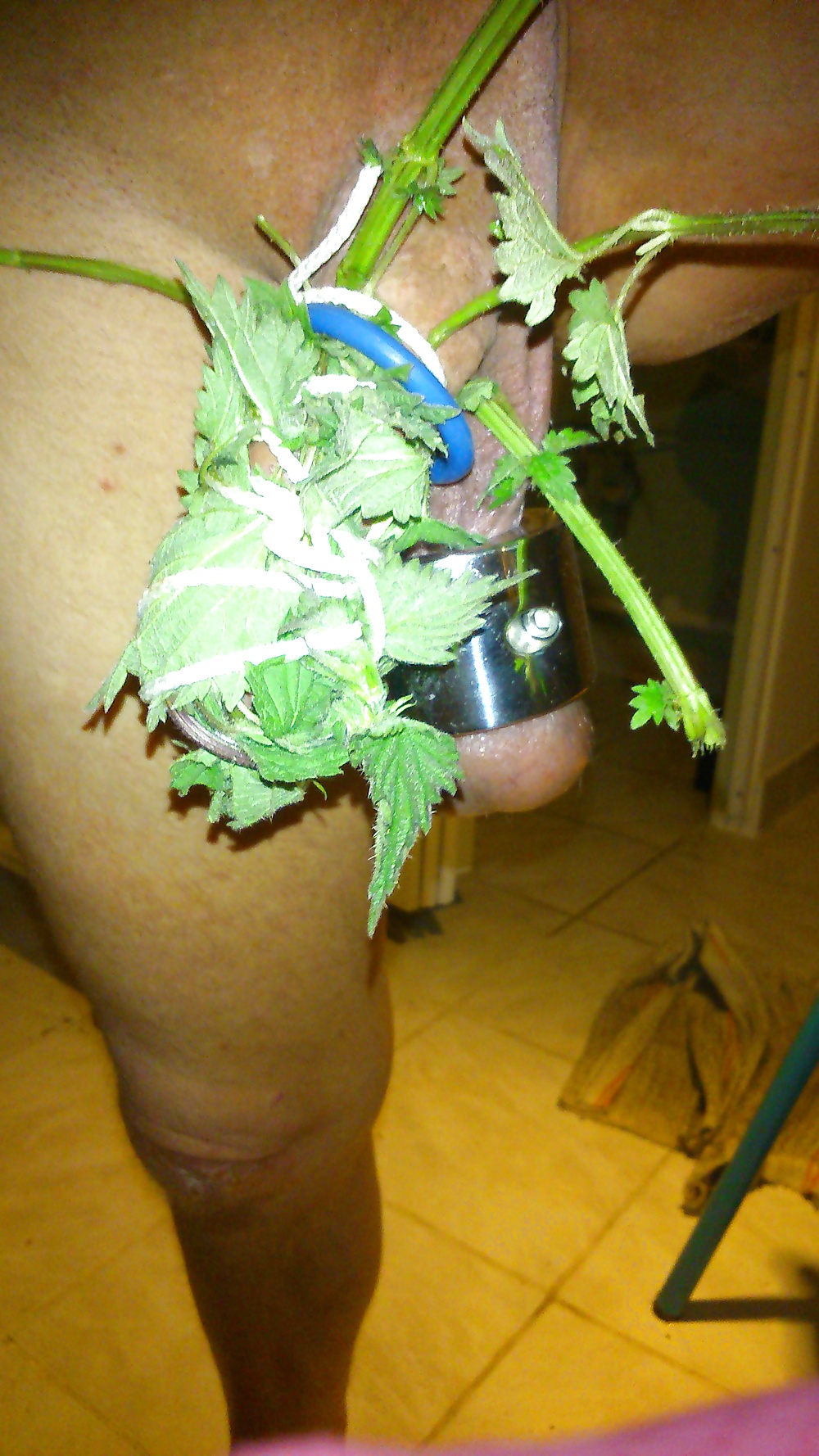 Ortie diversión
 #26987163