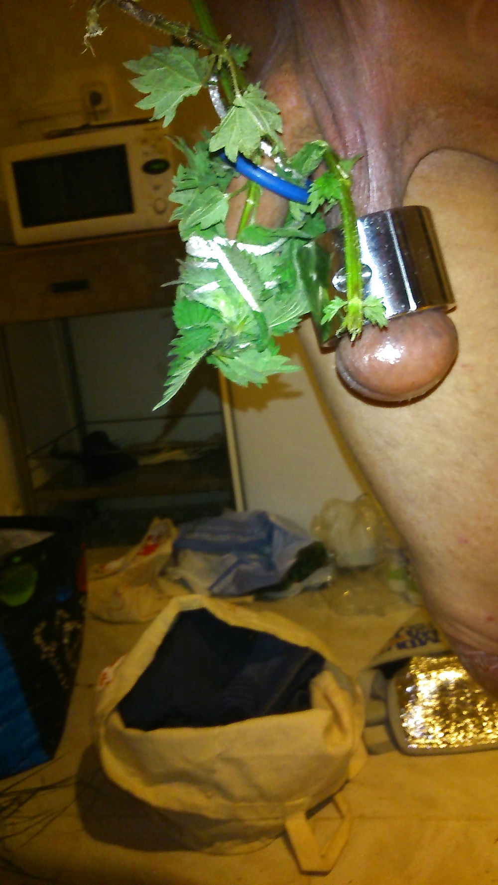 Ortie diversión
 #26987169