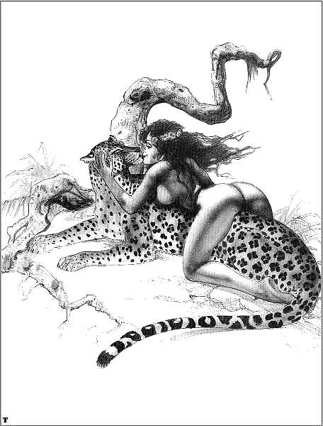 Fotos góticas
 #24847778