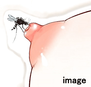 Mamelons Gonflés Avec Les Piqûres De Moustiques #31154391