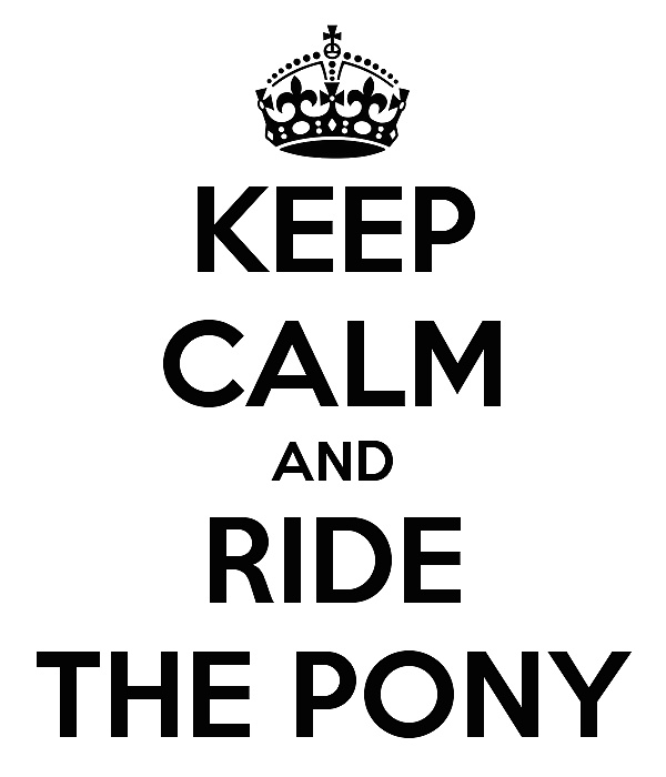 Ride the wooden pony if you can #26782463