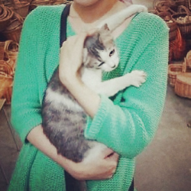 遅いさよなら
 #26659859