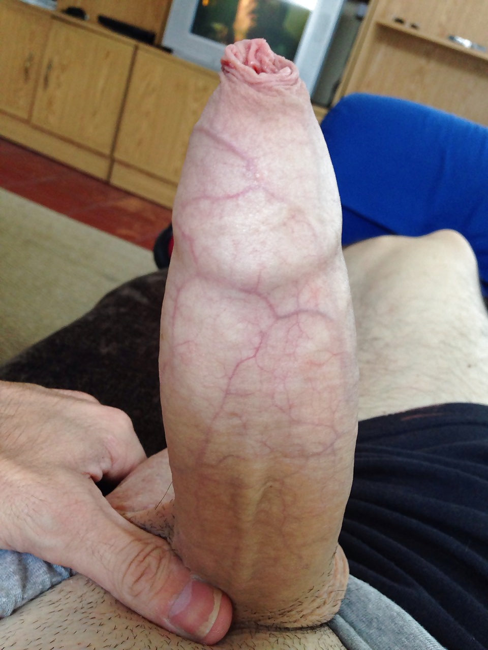 Erectione (264) #33646815