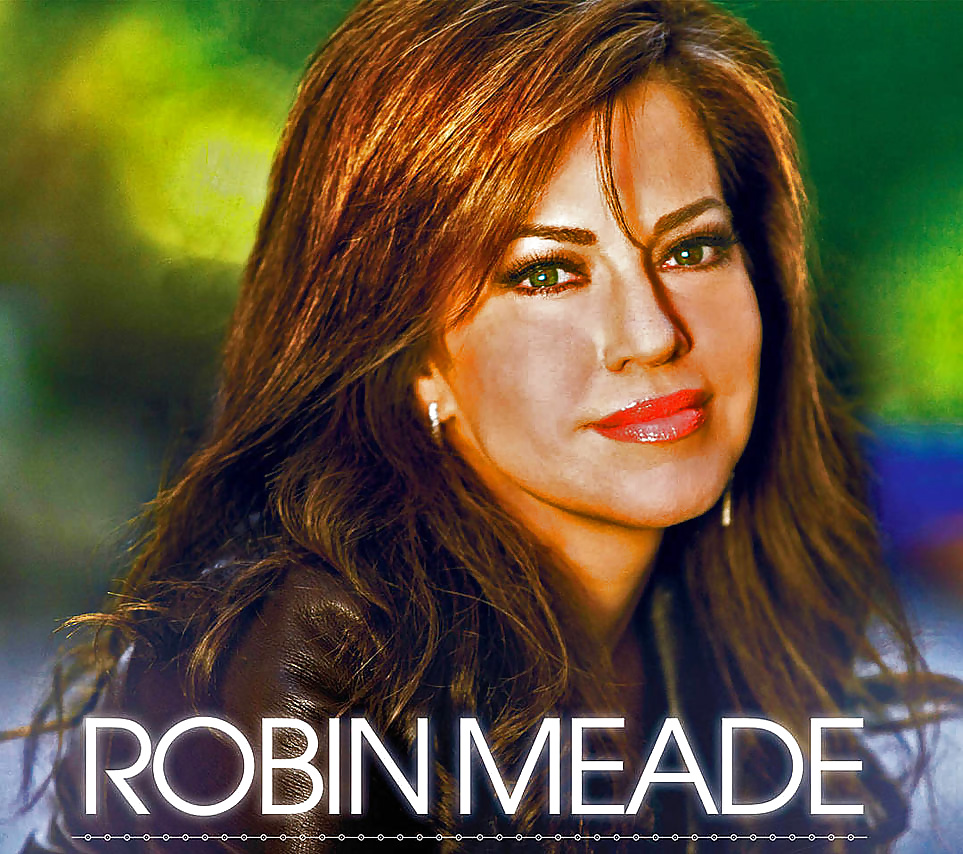 Newsbabe Robin Meade with Fakes 2 #32068945