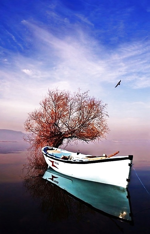 Mundo de los viajes....
 #36931938