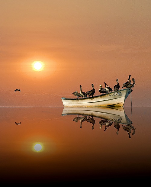 Mundo de los viajes....
 #36931954