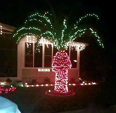 ¡Feliz Navidad!
 #23240744