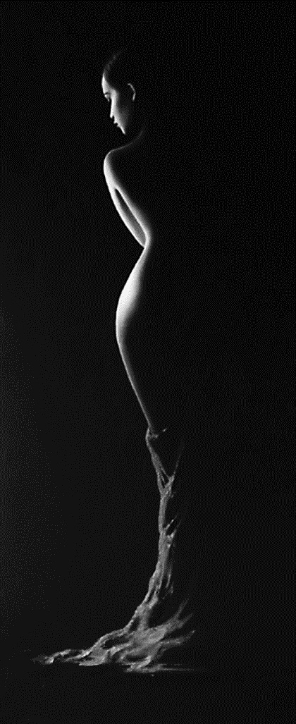 Janas art de la joie 100
 #27205843