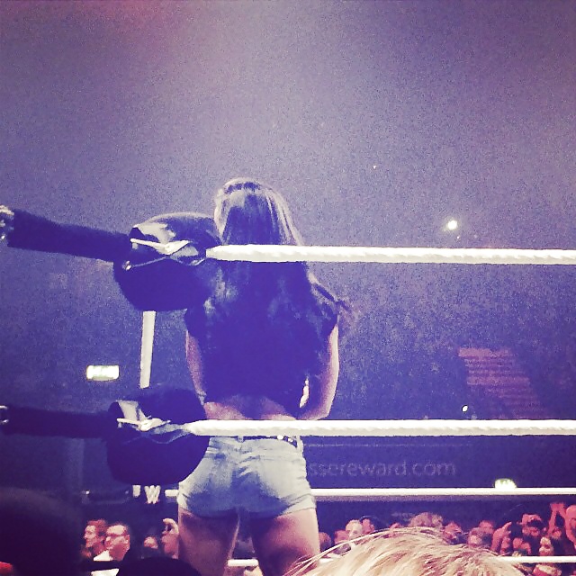 AJ Lee #25627389