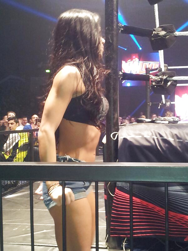 AJ Lee #25628124