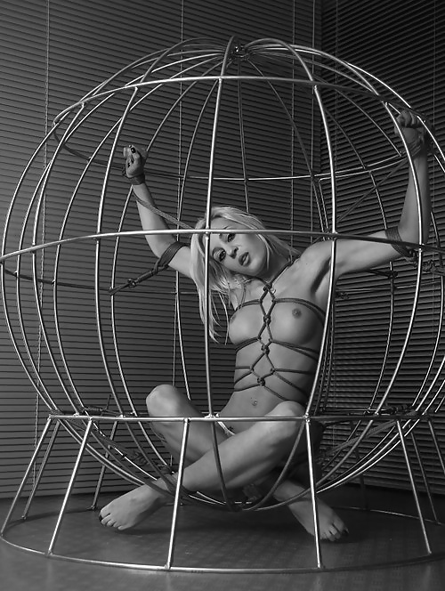 Perfect Storm - Beautiful Caged Women - Soft #31038877