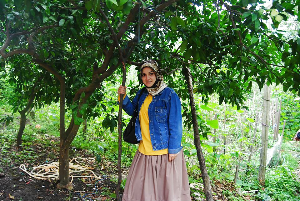 Turbanli arabo turco hijab baki indiano
 #30542553