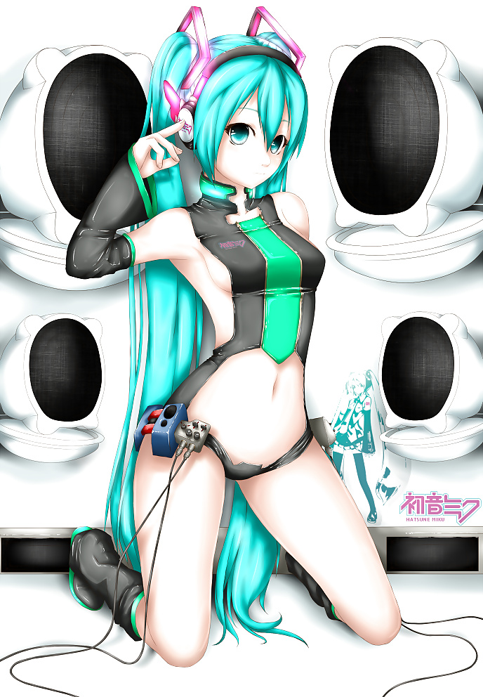 Vocaloid Babe - Hatsune Miku #29912584