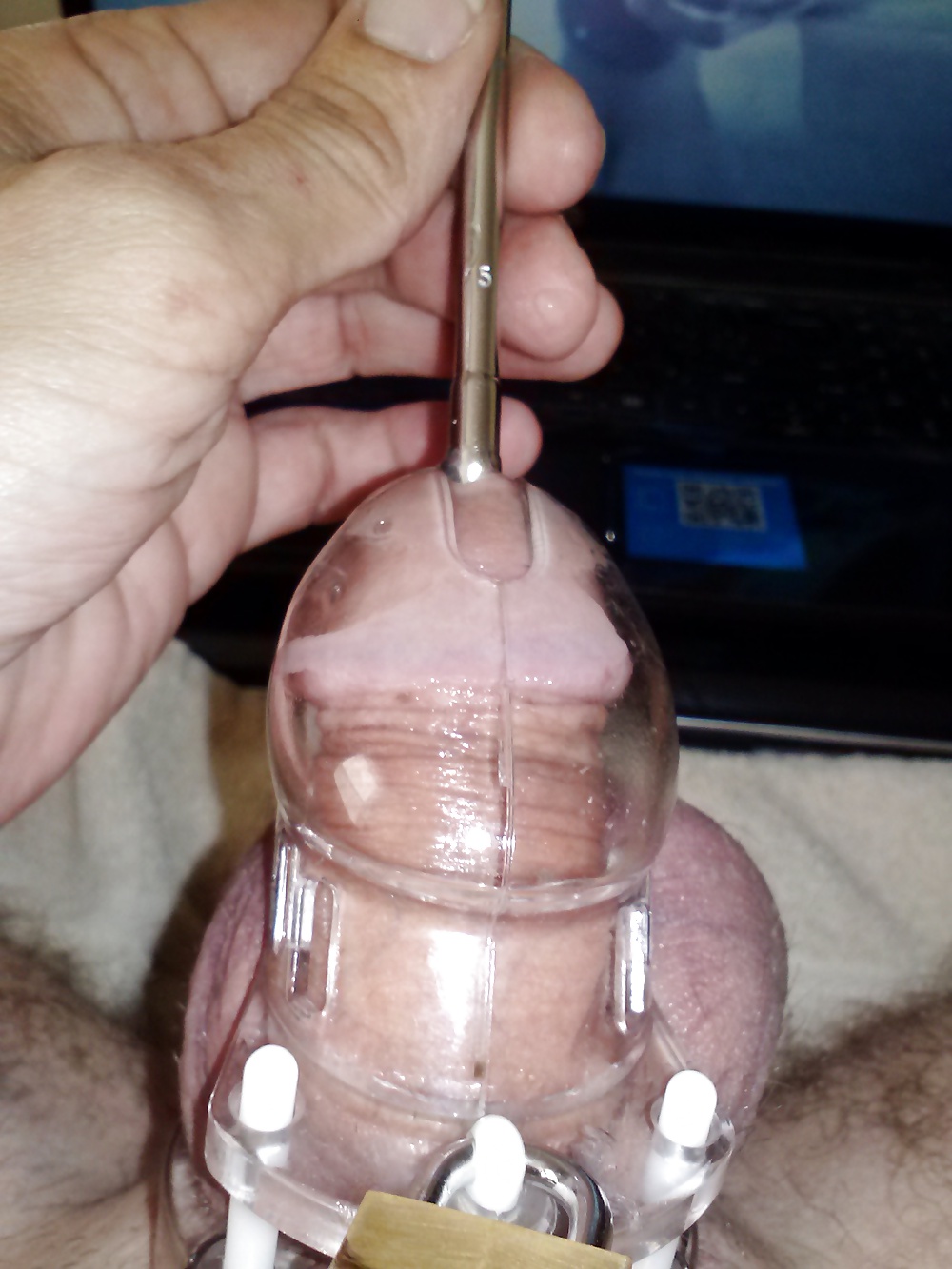 今年の写真
 #29124318