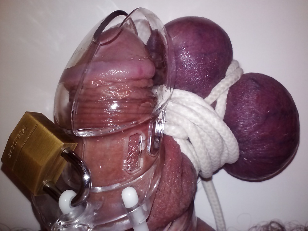 今年の写真
 #29124329