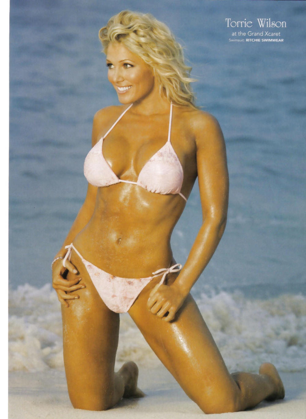 Torrie Wilson - Wwe Divas Magazin Sammlung #25199546