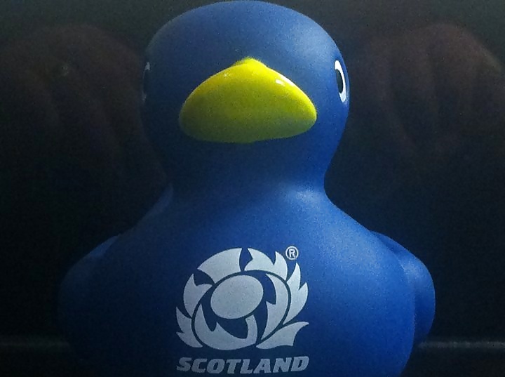 アヒルとセックス
 #23123195